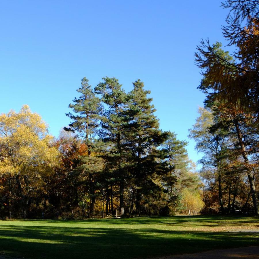 Ecoparc Des Monédières Saint-Yrieix-le-Déjalat Extérieur photo