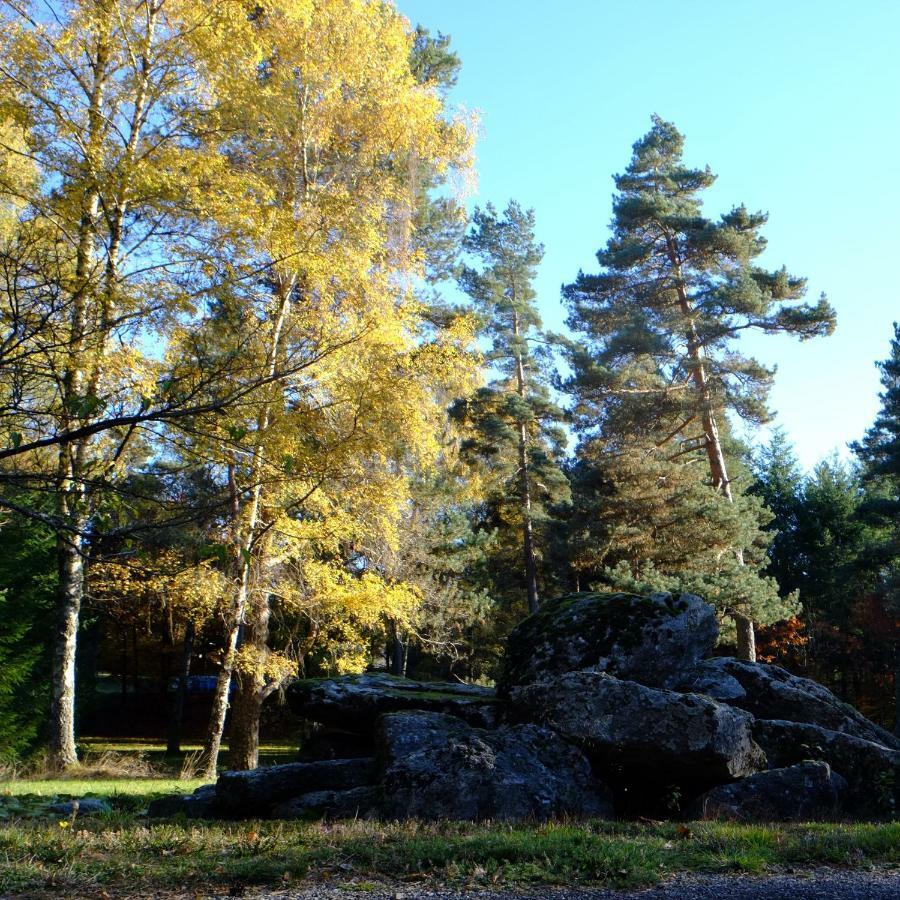 Ecoparc Des Monédières Saint-Yrieix-le-Déjalat Extérieur photo