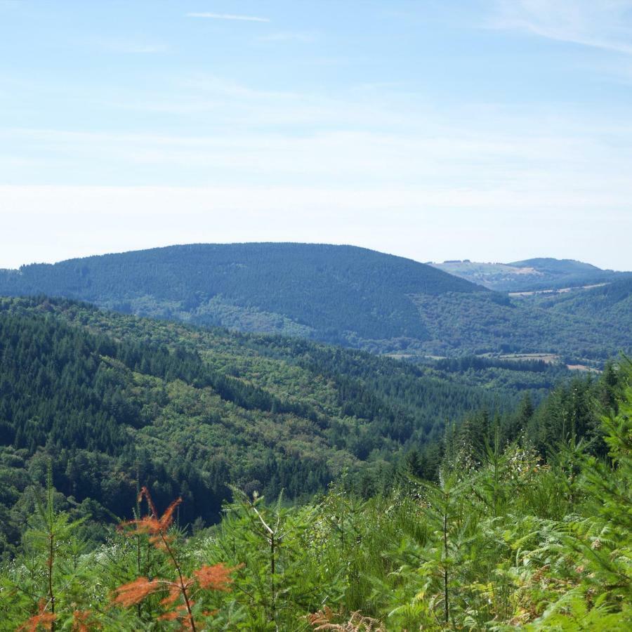 Ecoparc Des Monédières Saint-Yrieix-le-Déjalat Extérieur photo