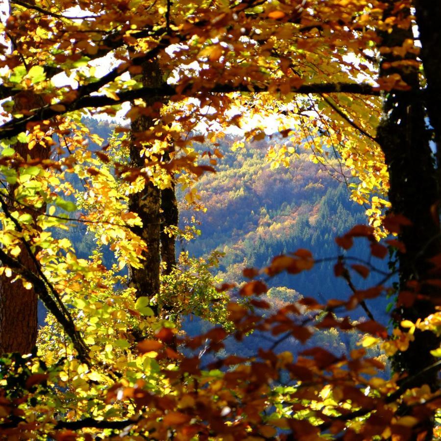 Ecoparc Des Monédières Saint-Yrieix-le-Déjalat Extérieur photo